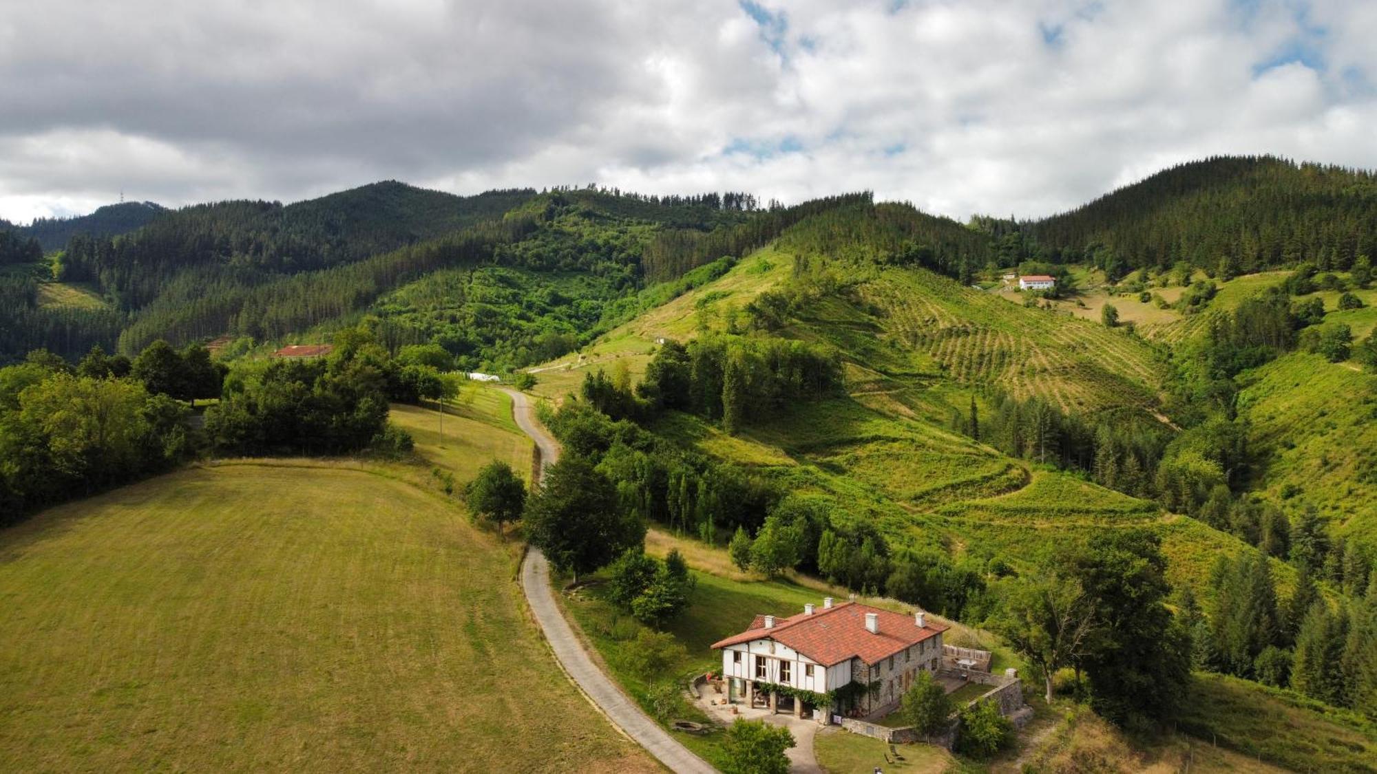 Izal Landetxea Guest House Bergara Bagian luar foto